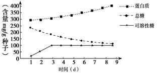 智能溫室的現(xiàn)代化無(wú)土栽培技術(shù) 高效生產(chǎn)之道